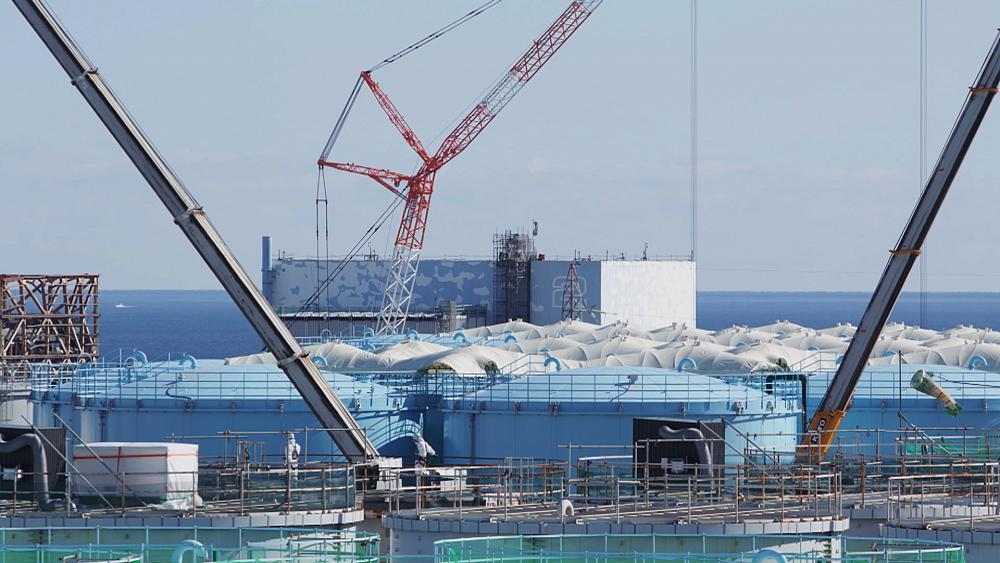 10 years of decontamination – How the Japanese are handling Fukushima
