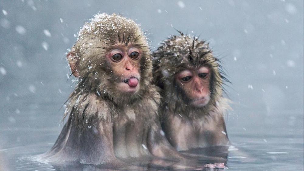 Meet the extraordinary Ukranian travel photographer who made snow monkeys go viral
