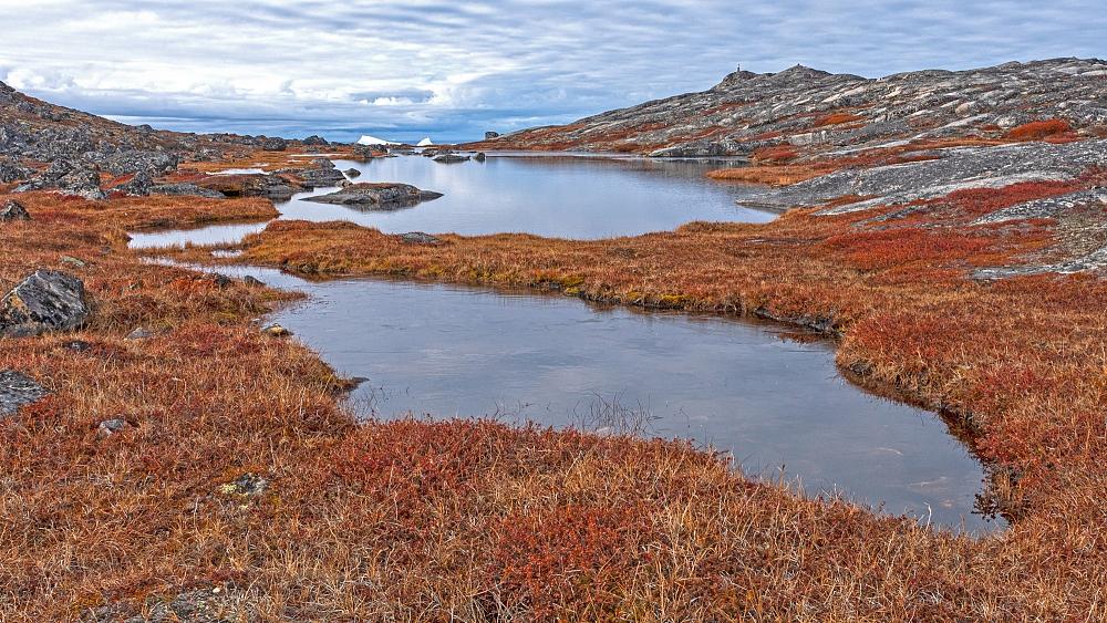 Scientists say the Arctic has the potential to be lush and green in future
