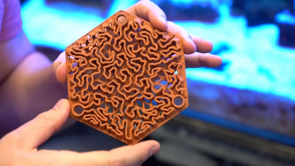 These 3D-printed tiles are being used to restore Hong Kong's fragile coral reefs