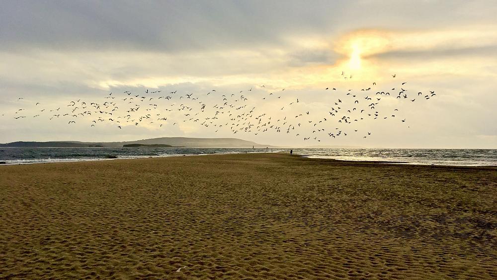 Far more renewables needed in UK homes to meet net-zero target