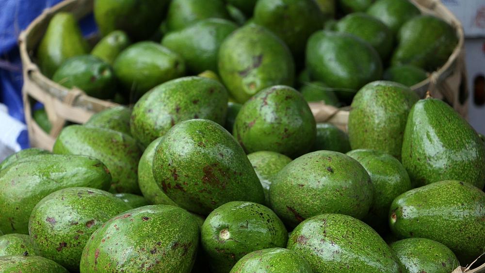 Are organic avocados better for the environment?