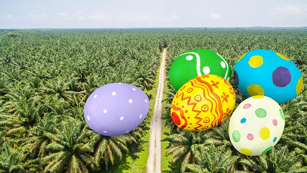 Your chocolate Easter egg could be fuelling deforestation