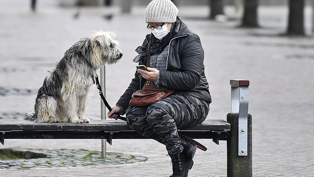 As lockdown bites, Germans hope dogs can help them through ruff times