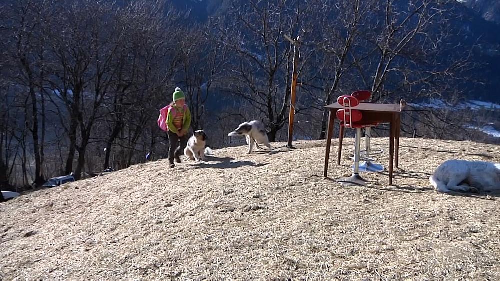 Does this Italian girl have the best home school set-up in the world?