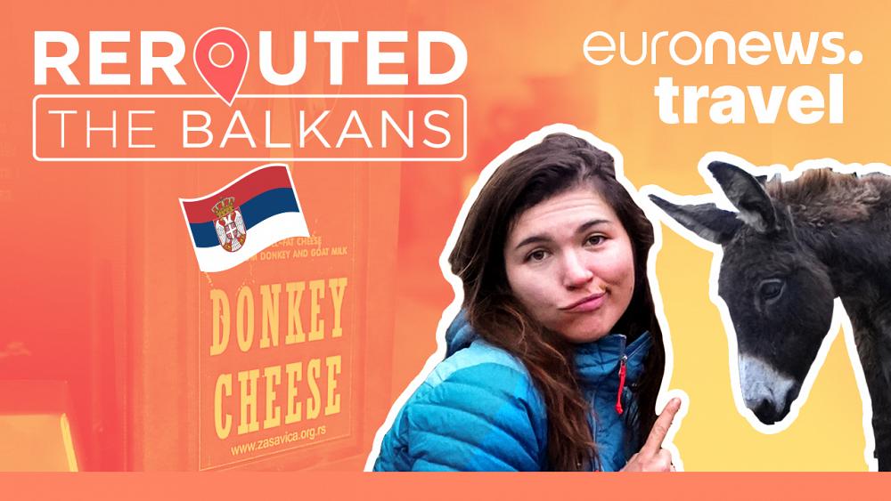 This is the world's most expensive cheese and you won't believe what it's made from