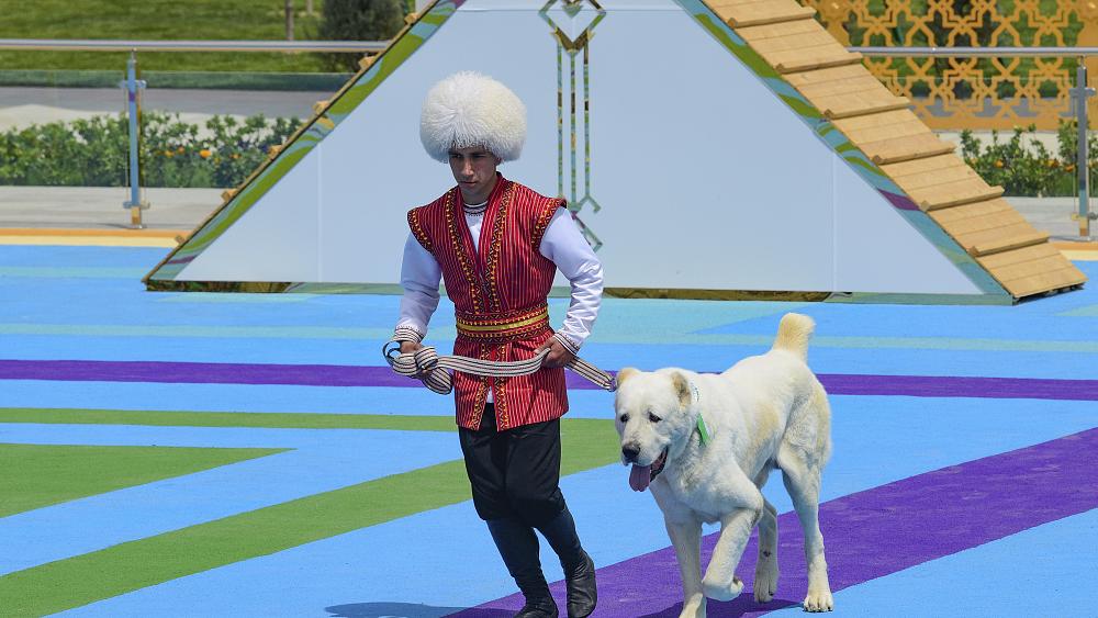 Turkmenistan observes new state holiday honouring Alabay dog breed