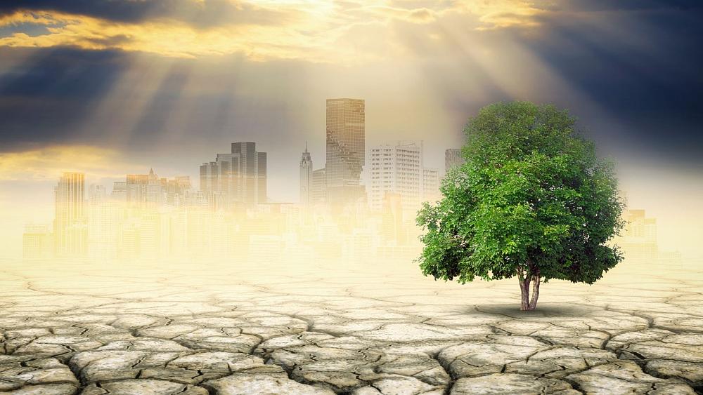 Climate Now: Is Europe doing enough to tackle climate change?