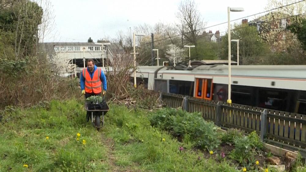 London's commuters are growing food in railway station garden