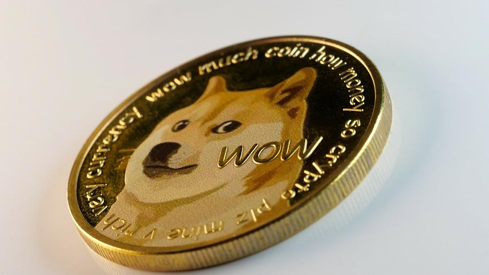 'It's a hustle': Dogecoin tumbles in value after Elon Musk plugs it during his SNL appearance
