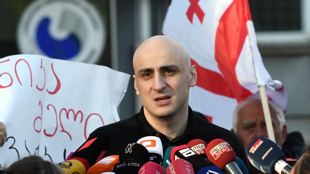 Georgia frees jailed opposition leader Nika Melia after EU posts bail