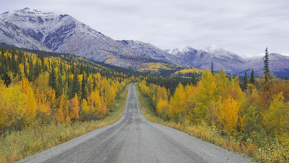 Is a Yukon road trip the ultimate wild ride?