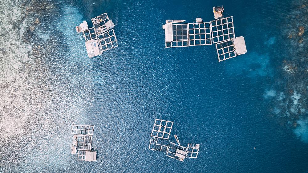 What is aquaculture and can it prevent overfishing?