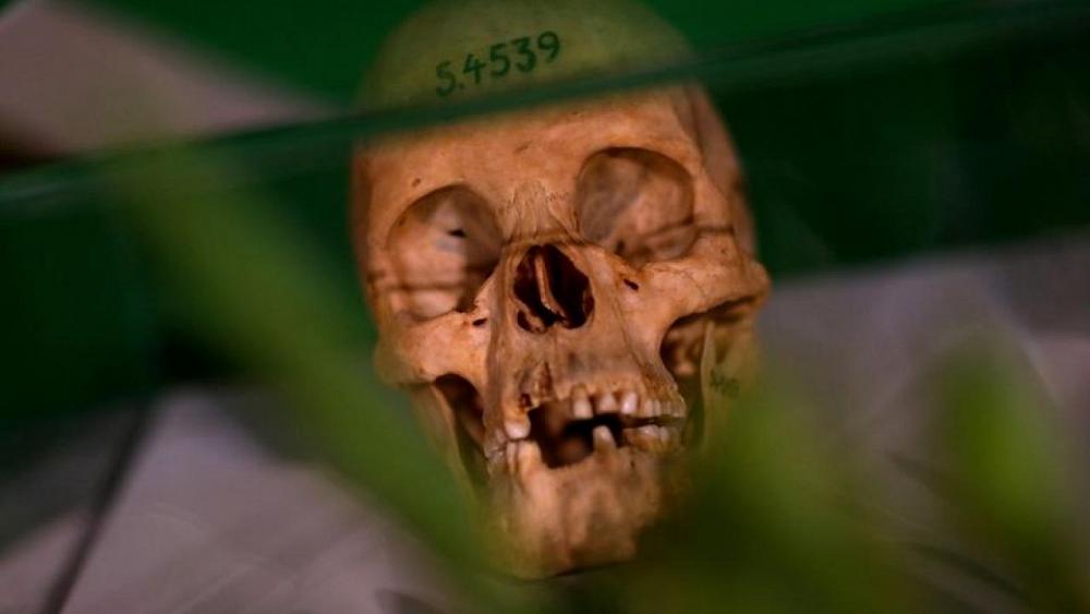 Germany colonial-era genocide reparations offer not enough – Namibia vice president