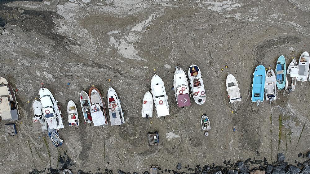 Turkey promises action on 'sea snot' engulfing the coast