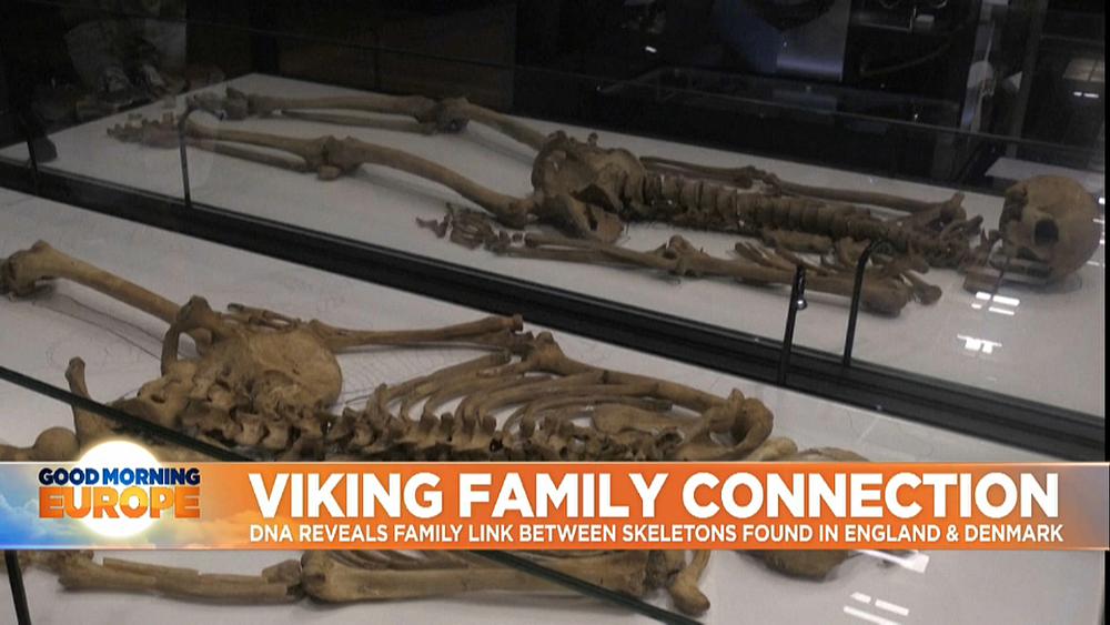 Skeletons of two related Viking men reunited in Denmark for first time in 1000 years