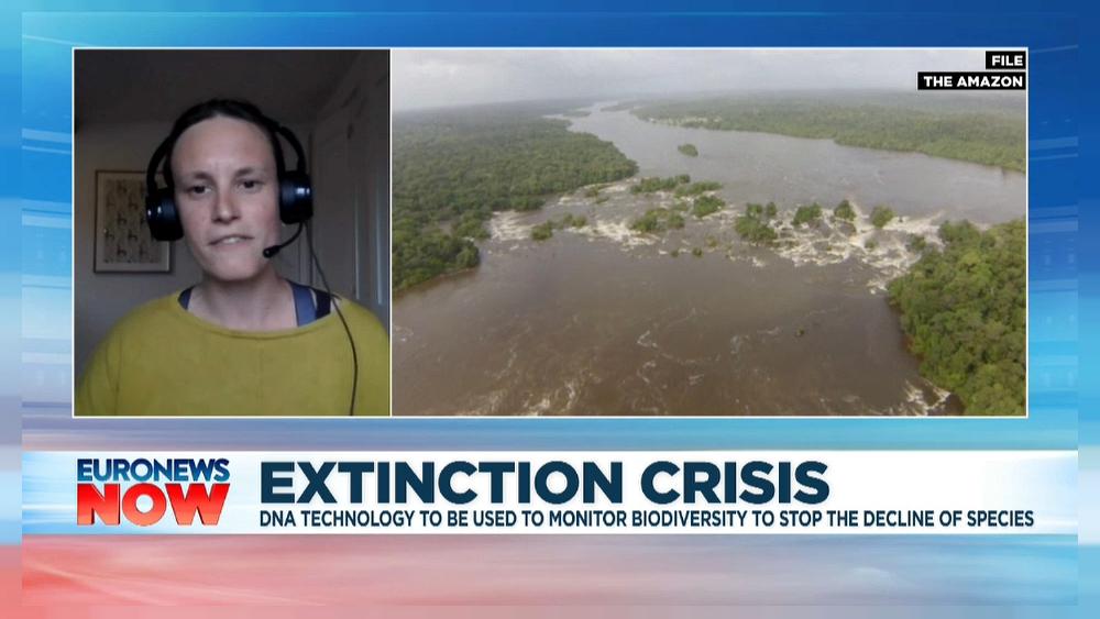 Researchers want to fight mass extinction by analysing DNA